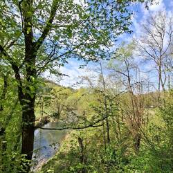 Der erste Blick auf die Sülz, daß Grenzflüsschen zwischen Lohmar und Troisdorf.
