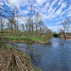 ....und hier mündet die Sülz in die Agger.