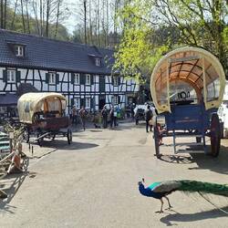 ....wie die Gammersbacher Mühle....