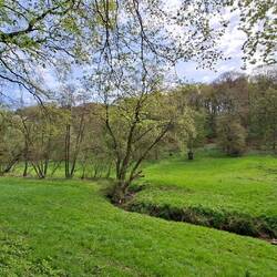 Der Gammersbach mäandert durch die Wiesen.