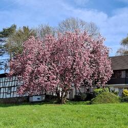 ....andere sind einfach nur wunderschön....