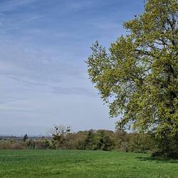 Der Blick auf Köln, sogar der Dom ist erkennbar....