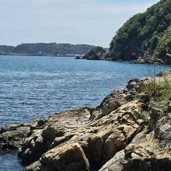 Walked all along these rocks. Like our own private breah