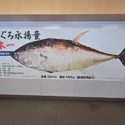 Tuna museum
