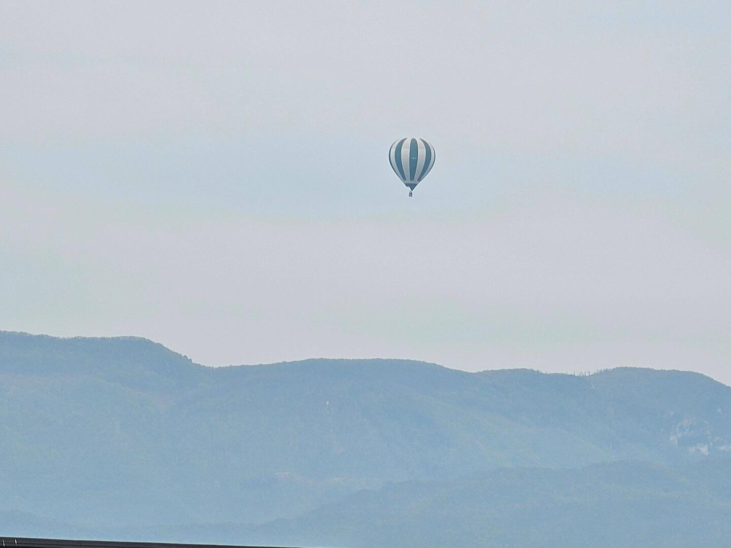 Spotted as I was leaving Alife