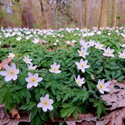Im Stadtpark Hamburg