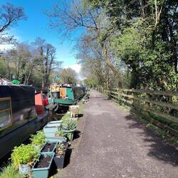 Leo couldn't help but pee on all the planters on the towpath 🫣