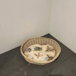 Hundekörbchen?