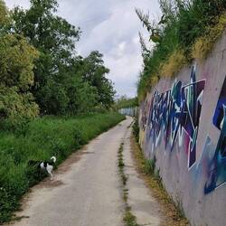 Endloser Wanderweg am Po! 😆