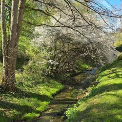 Stream running alongside the path into town