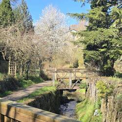One of the beautiful walks into the town