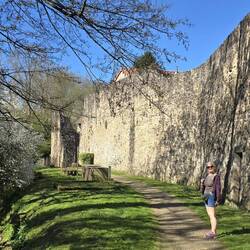 One of our favourite walks into town
