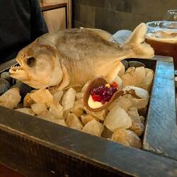 Piranhas die leben im Amazonas 🐟