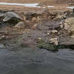 Voilà comment jaillit l'eau à 43 degrés