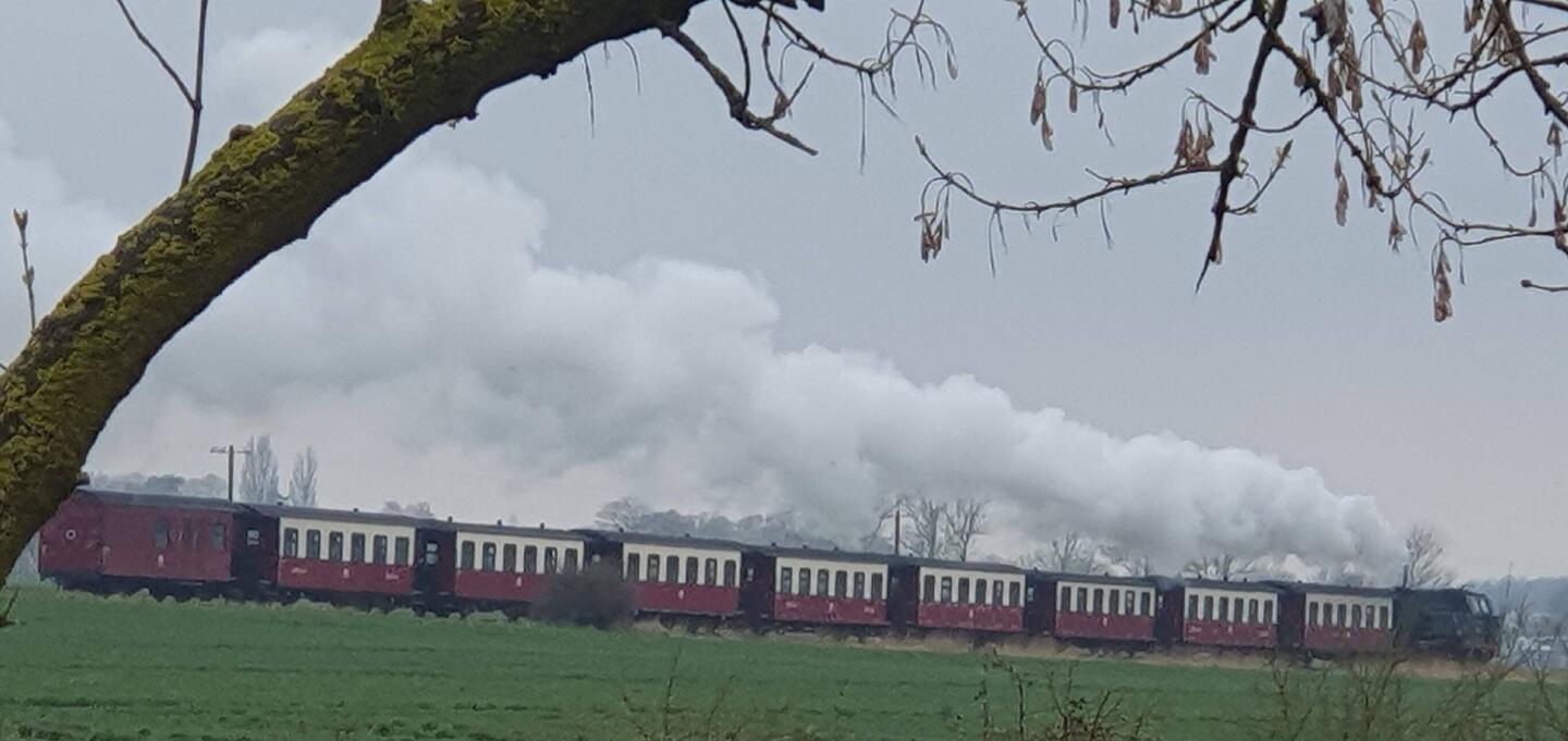 Historische Kleinbahn "Molli"