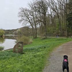 Walks around Ohmbachsee Lake