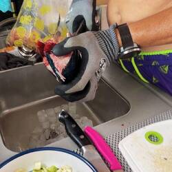 vor dem Braten müssen die Kiemen entfernt werden