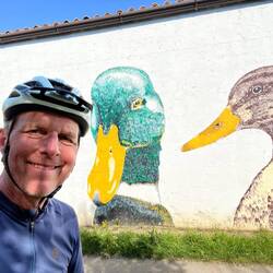 1,2, ou 3 canards ?