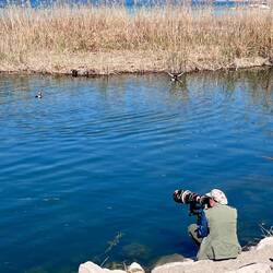 Également un paradis pour les ornithologues, avec tous ces recoins en roseau