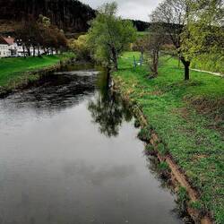 Die Donau in Nendingen