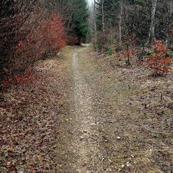 Hin und wieder auch schöne Pfade heute