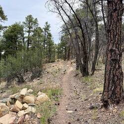 Nach dem Frühstück ging es ein kurzes Stück weiterhin bergauf.