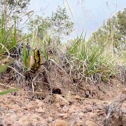 ... und bei euch so?