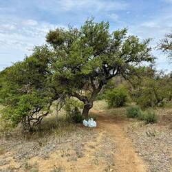 Ohne solche Wasservorräte würde auch auf diesem Abschnitt nichts gehen...