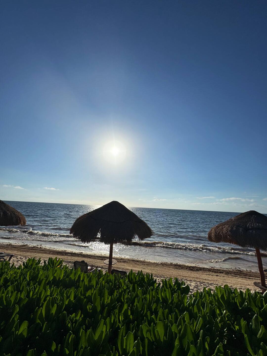 Morning beach views 🏝️
