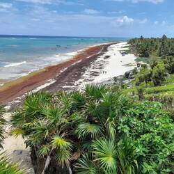 ..einer der schönsten Strände an der Playa del Maya...leider im April zu mit Algen
