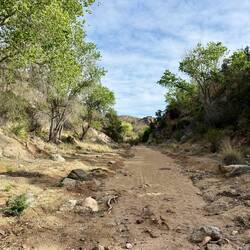 Der Weg führte heute relativ lang mitten durch ein ausgetrocknetes Flussbett.