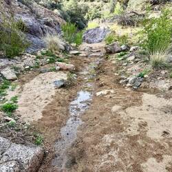 An dieser Stelle habe ich in New Mexico zum ersten Mal fliessendes Wasser gesehen.