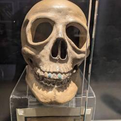 Did I ever mention, the Mayans used to put jade in their teeth?