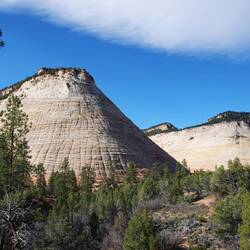 Checkerboard Mesa