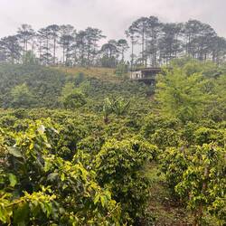 traumhaus gefunden 🖤