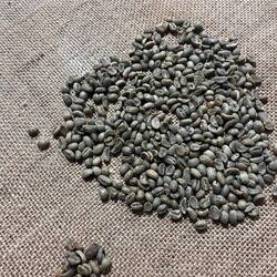 die guten ins töpfchen