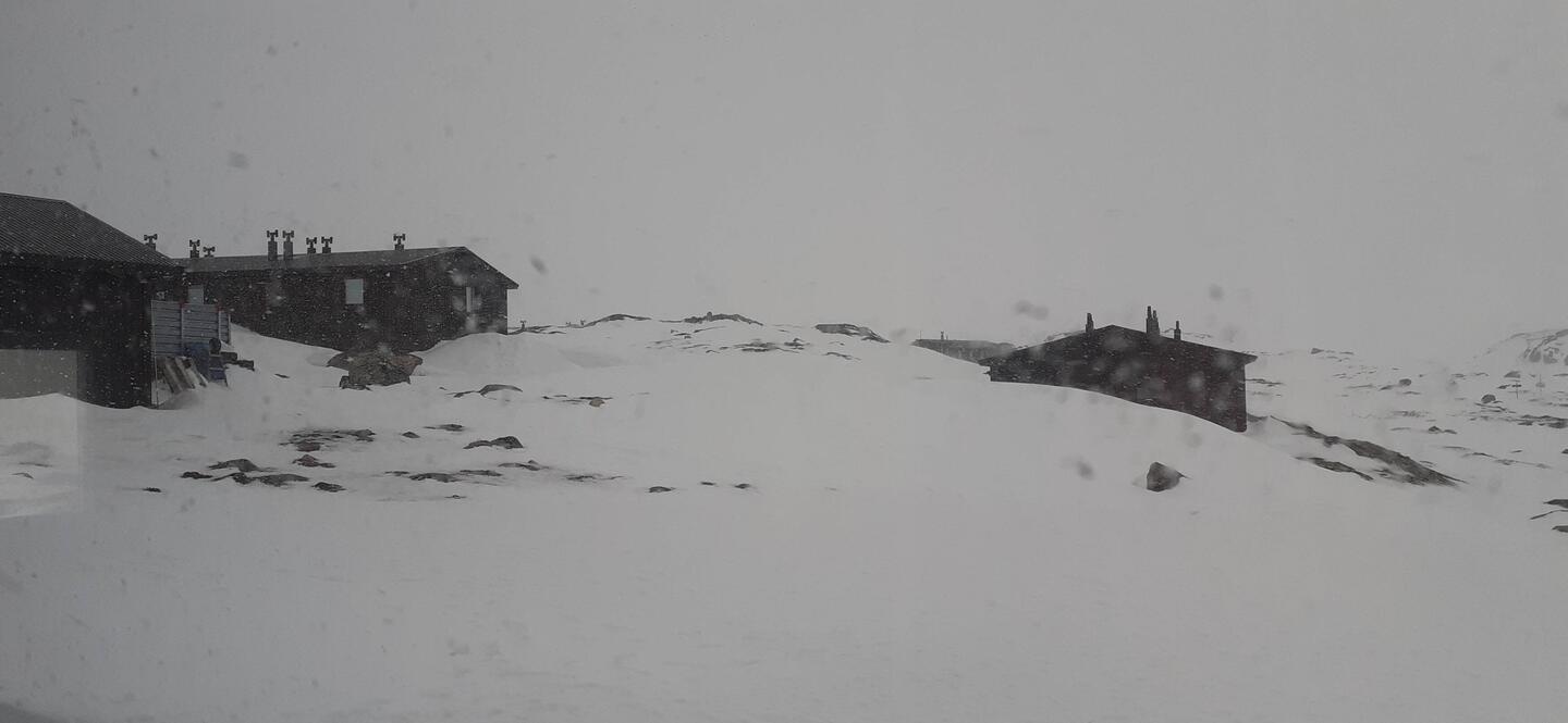 jemand schüttelt heute gewaltig an der Schneekugel