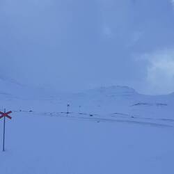 rote Kreuze auf weißem Grund prägen das Bild