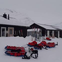 bei dieser Gruppe Pulka-Fahrer kommt selbst der Tourguide nur schwer hinterher