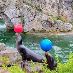 Zoobesuch in Köln
