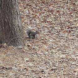 Am Abend bekomme ich noch Besuch.