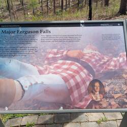 Ferguson wird erschossen und ...