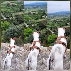 Keine Angst in Abgrund zu gucken