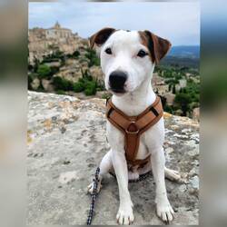 Jede Mauer ist jetzt seine 😅