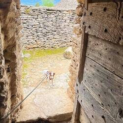 Louie geht da nicht rein 🙄