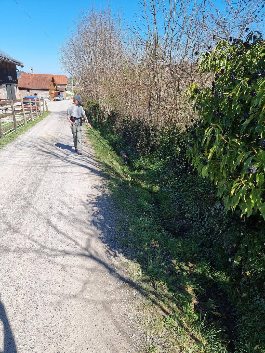 Nara wollte unbedingt im Bachlauf laufen.