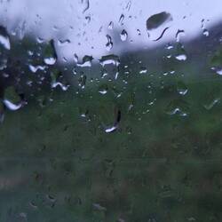 Regen, faulenzen... auch mal gut!