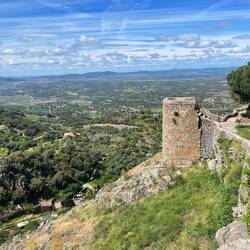 Herrliche Weitsicht übers Land. Jetzt wissen wir, woher das Olivenöl kommt!