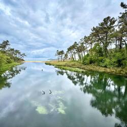 Der Rio Lago fließt in den Atlantik