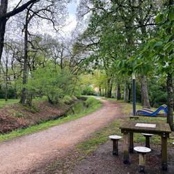 Chess beside the canal